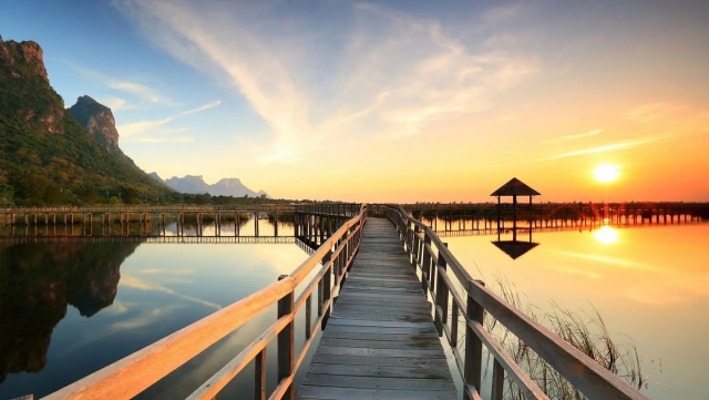 2021年中国游戏直播行业研究报告