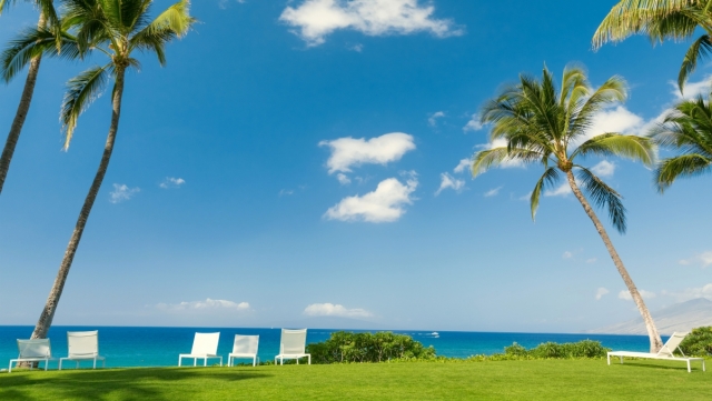 揭秘ChatGPT：它将如何颠覆科技巨头？(爆火的ChatGPT 先颠覆谁 )